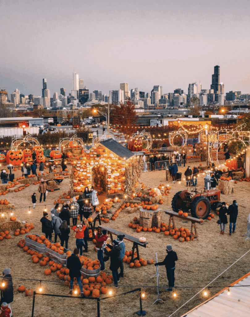 Must-Do November Events in Chicago - home-collective.com